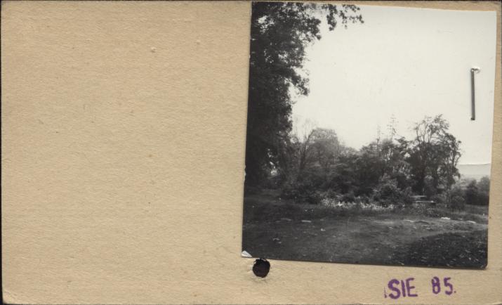 park, skan 2