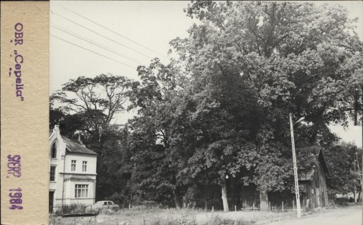park dworski, skan 2