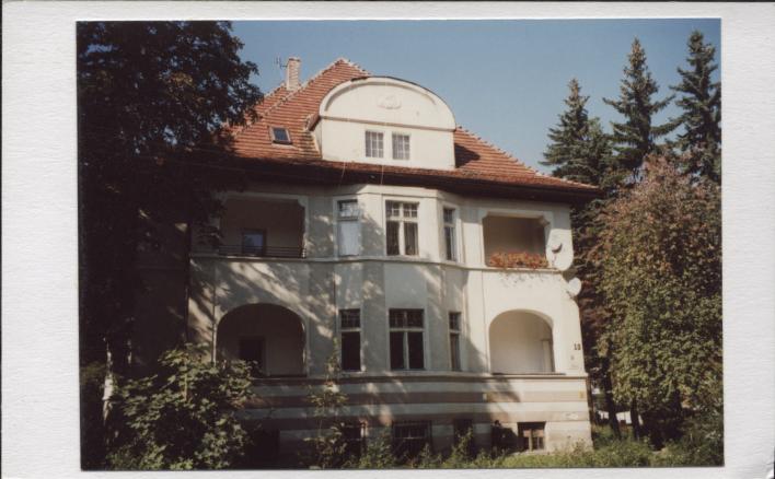 willa, skan 2