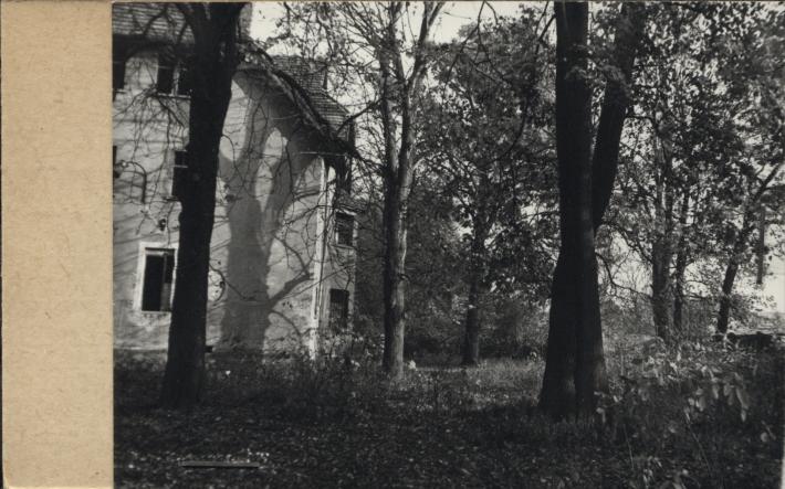 park, skan 2