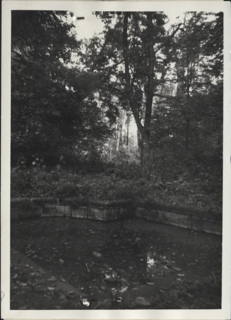 park krajobrazowy, skan 2