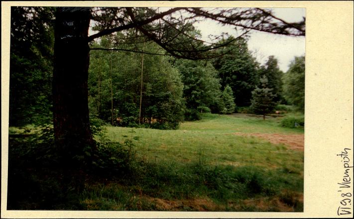 park przy willi krajobrazowy, skan 2