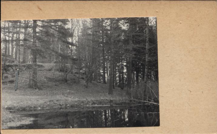 park ob. domu Hauptmana, skan 2