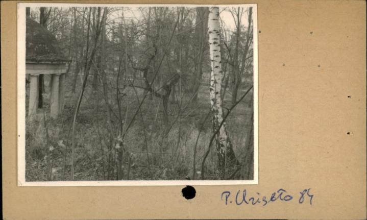 cmentarz komunalny, skan 2