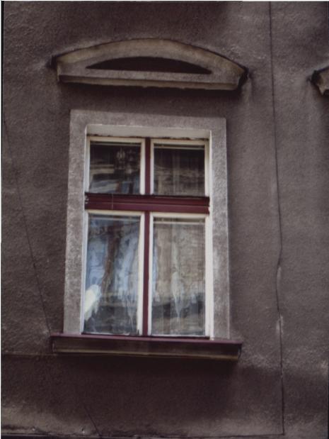 dom, skan 6