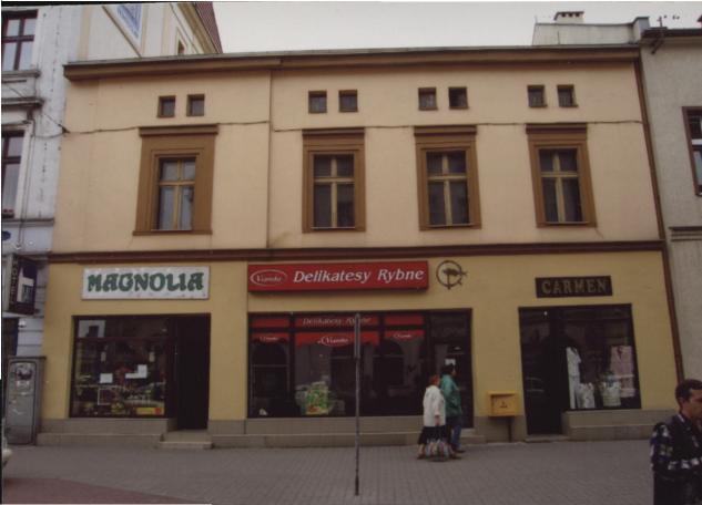 dom, skan 2