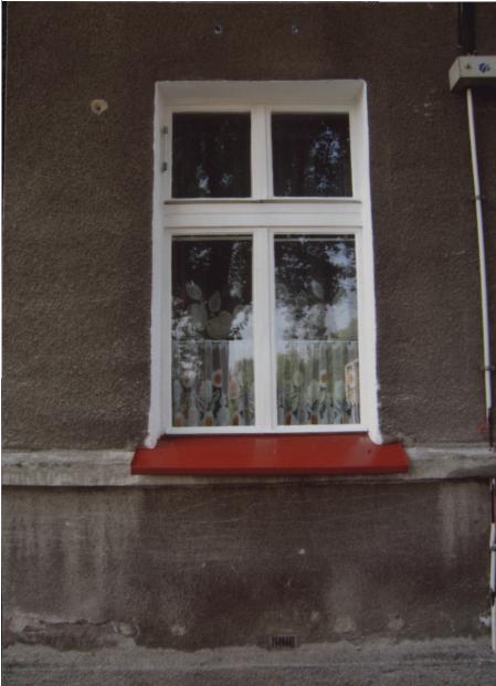 dom, skan 6