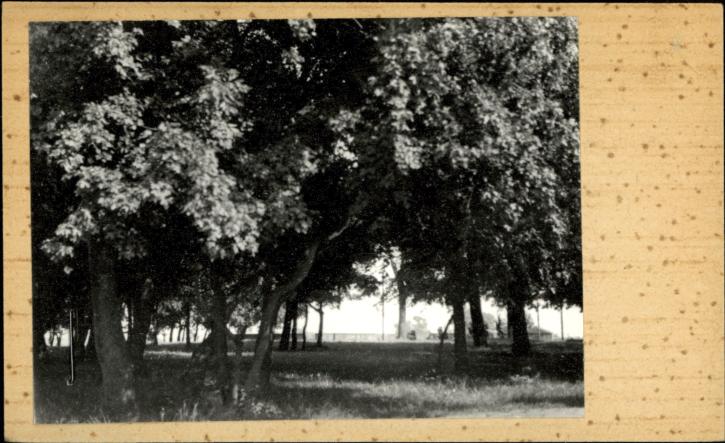 park dworski, skan 2