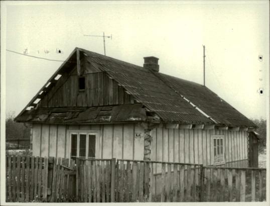 dom, skan 3
