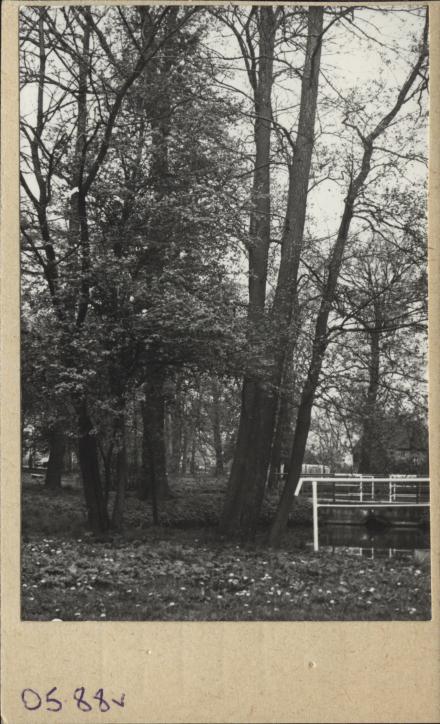 park, skan 2