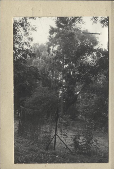park zamkowy, skan 3