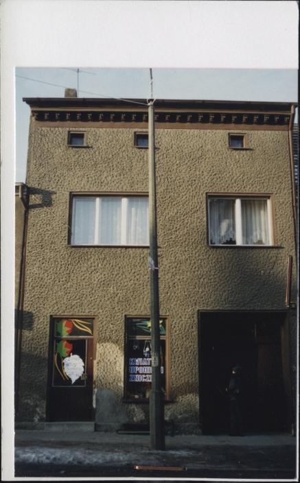 dom, skan 2