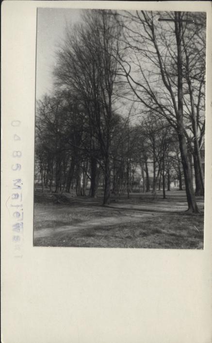 park krajobrazowy w zesp. pałacowym, skan 2