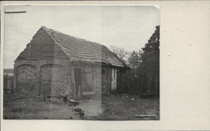 chlewnia, skan 2