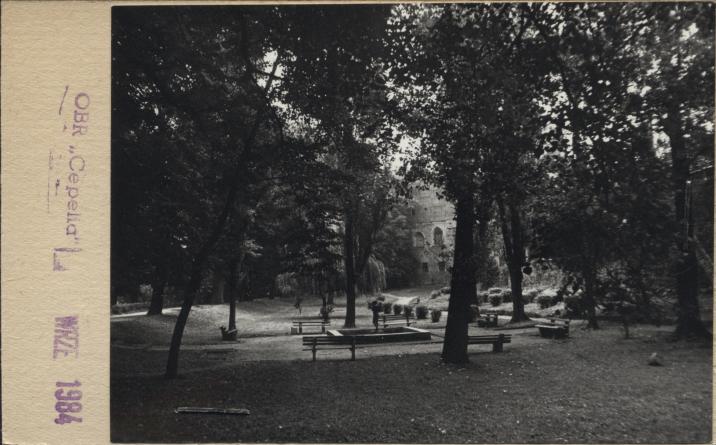 park miejski, skan 2