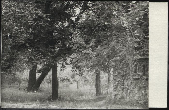 park krajobrazowy - zespół dworski II, skan 2