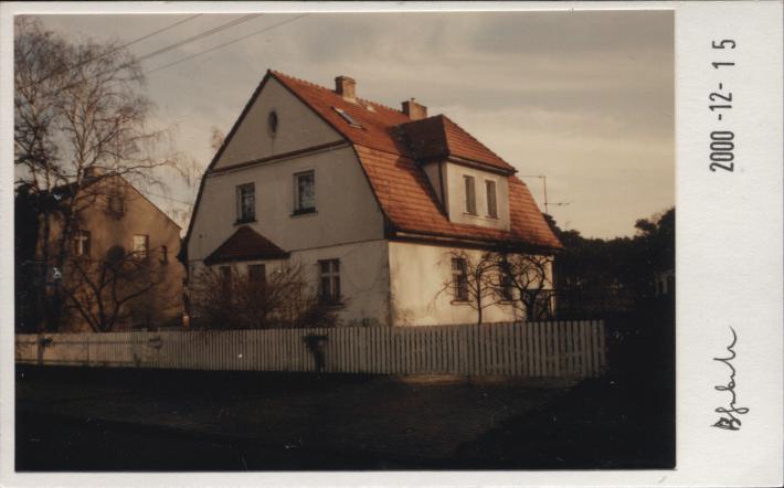 willa, skan 2