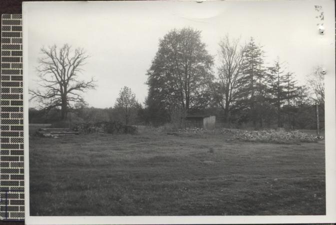 zespół dworski nr I, park, skan 2