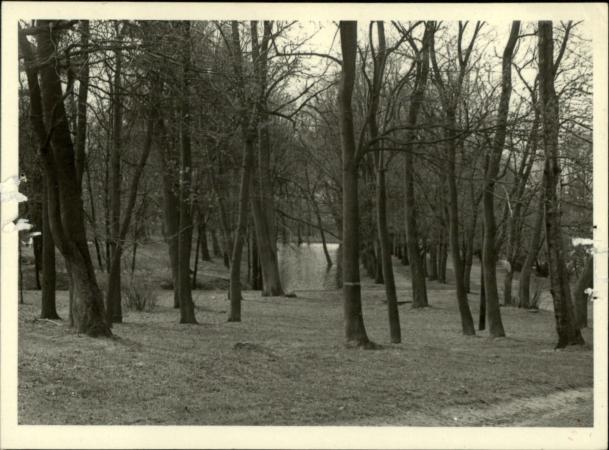 park geometryczny, skan 3