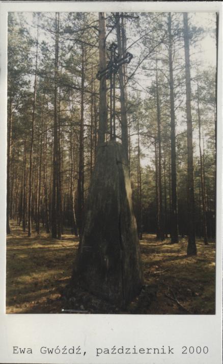 krzyż, skan 2