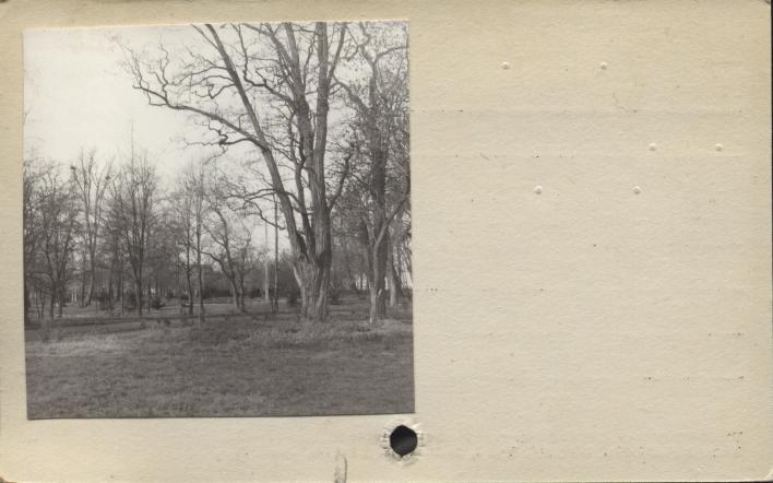 park krajobrazowy, skan 2