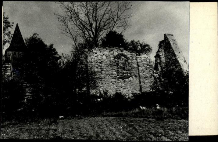 ruiny zabudowań w pd. wsch. części zespołu klasztornego, skan 2