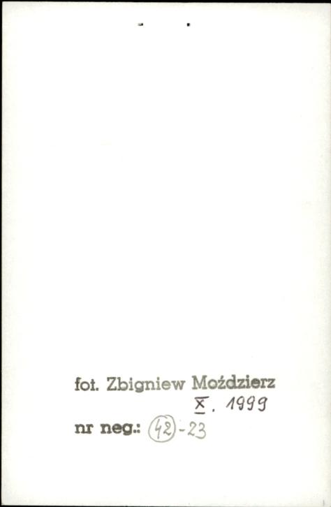 zagroda 4-budynkowa, skan 2