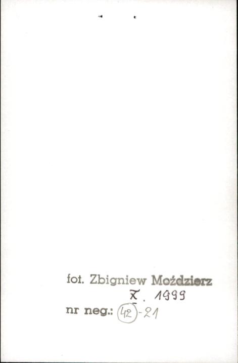 chałupa, skan 2