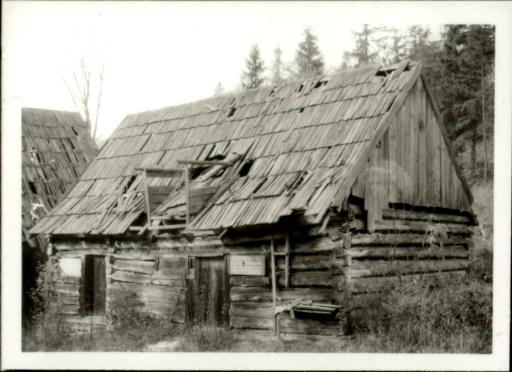 stajnia, skan 3