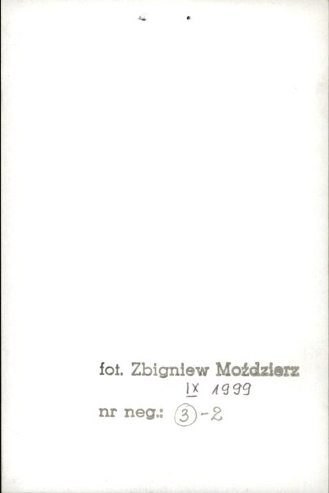 zagroda 2-budynkowa, skan 2