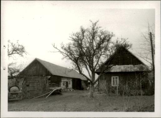 zagroda, skan 3
