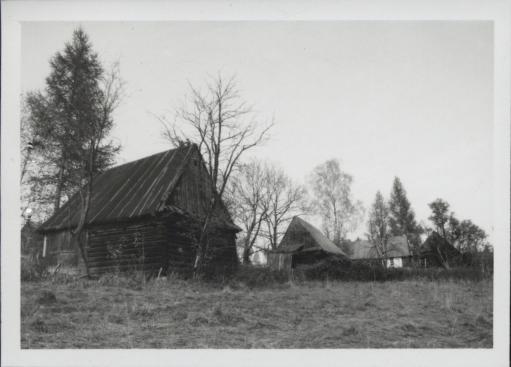 zagroda, skan 4