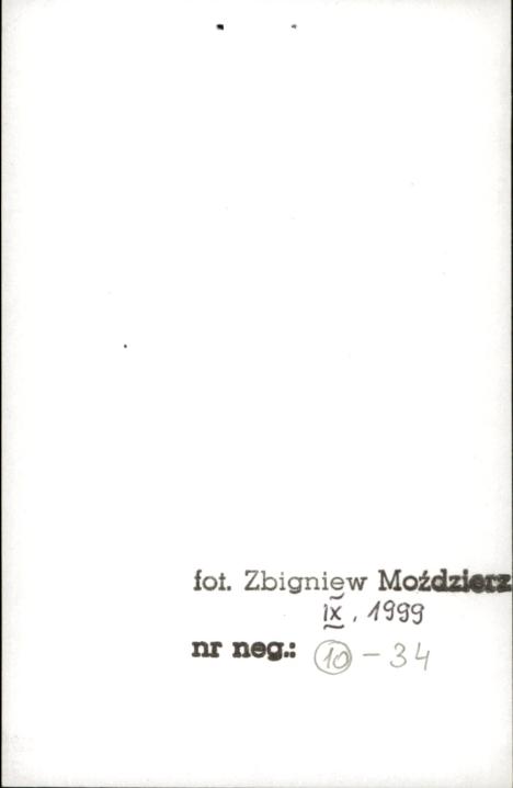 budynek dworski, skan 2
