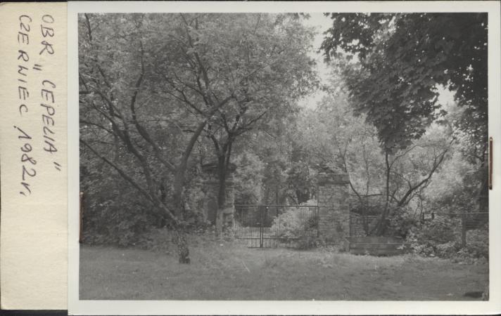 park dworski, skan 2