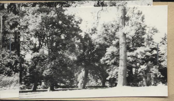 park wokół pałacu, skan 3