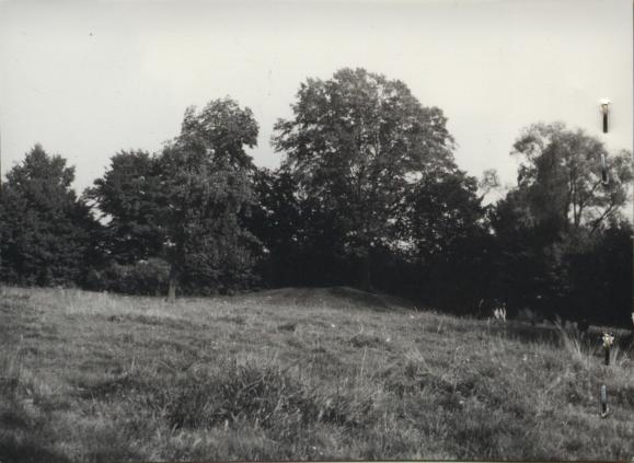park w zespole dworskim, skan 3