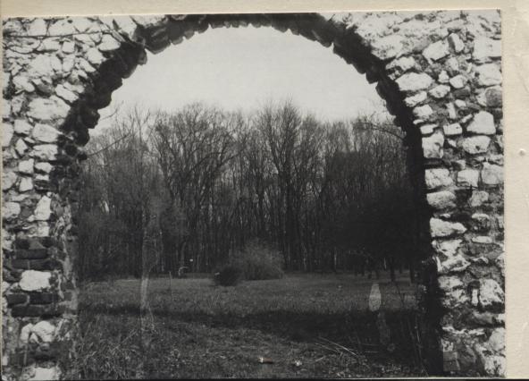 park, skan 3