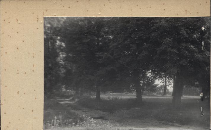 zespół parkowy park krajobrazowy, skan 2