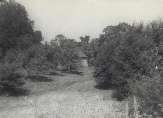 park, skan 3
