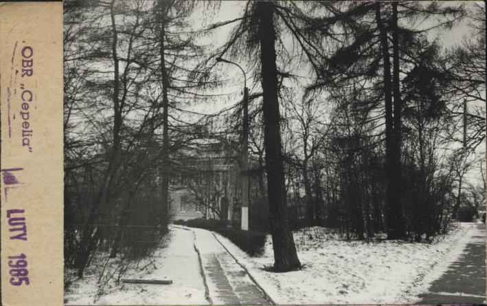 park, skan 2