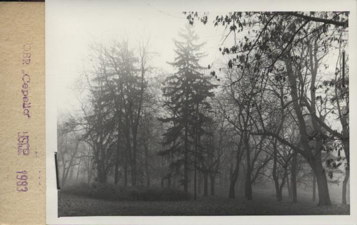 park dworski, skan 2