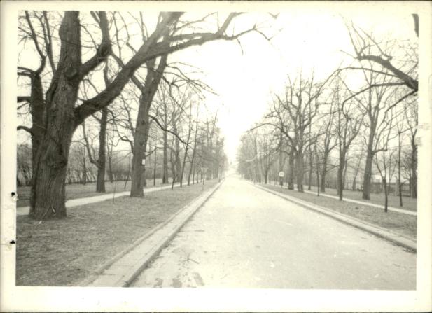 park, skan 3