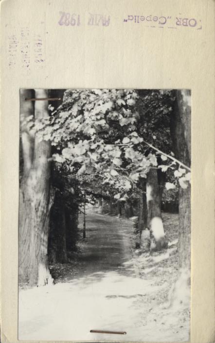park miejski, skan 2