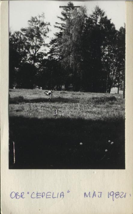 park dworski krajobrazowy, skan 2