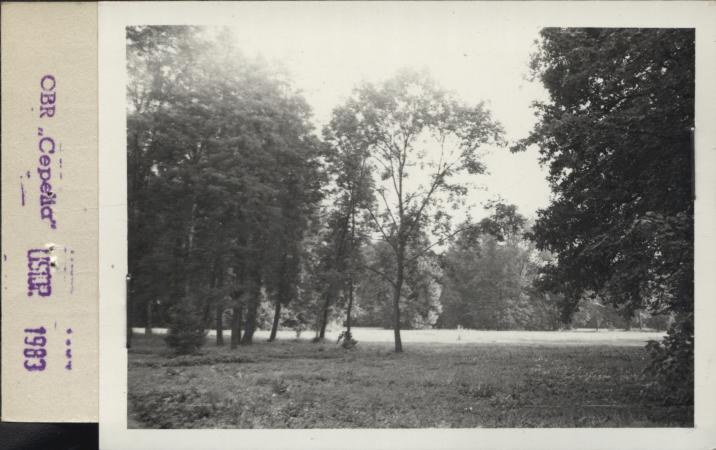 park, skan 3