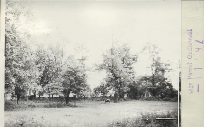park dworski, skan 2