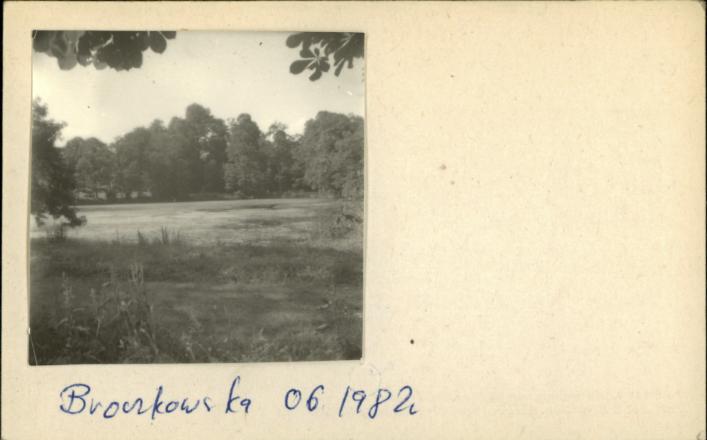 park krajobrazowy wokół zespołu pałacowego, skan 2