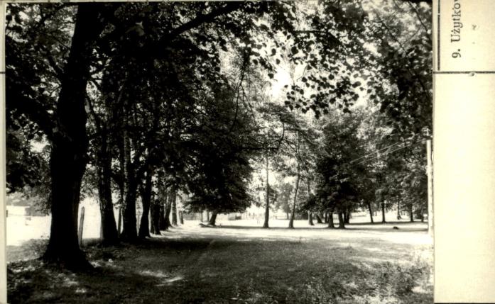 park dworski, skan 3