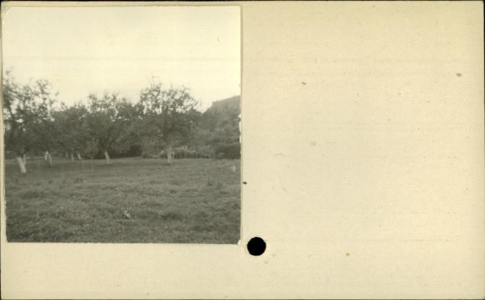 ogród klasztorny, skan 2