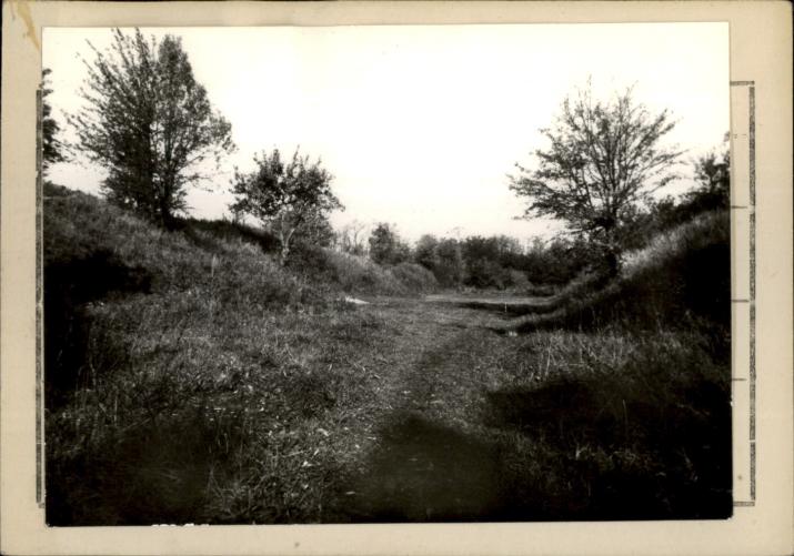 fort ześrodkowany N XVIII Ostrów, skan 2